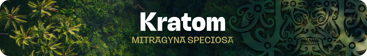 HEADER Kategorie KRATOM 1285x197_b